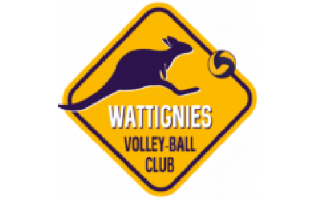 DFB - WATTIGNIES 3